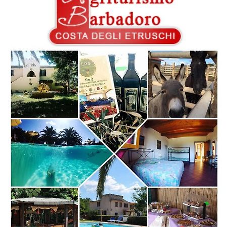 Agriturismo Barbadoro San Vincenzo Eksteriør billede