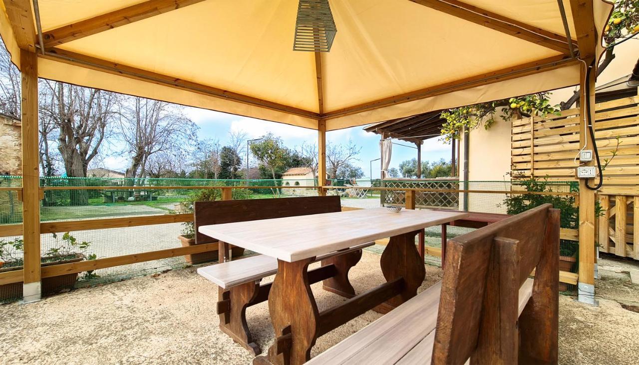 Agriturismo Barbadoro San Vincenzo Eksteriør billede
