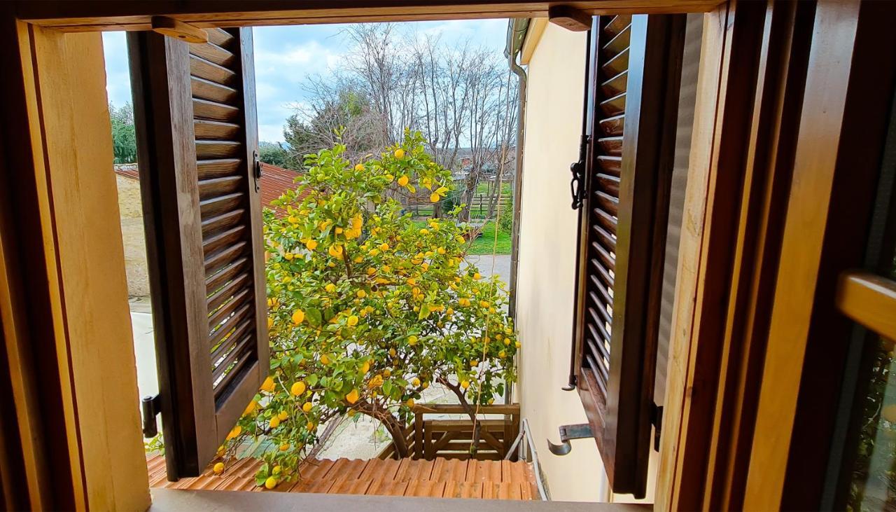 Agriturismo Barbadoro San Vincenzo Eksteriør billede