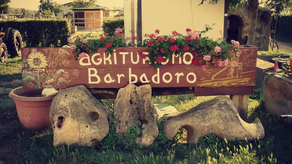 Agriturismo Barbadoro San Vincenzo Værelse billede