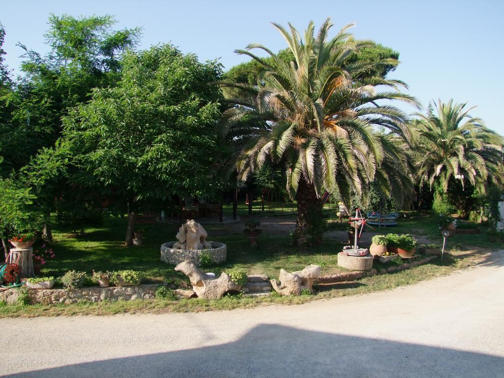 Agriturismo Barbadoro San Vincenzo Eksteriør billede
