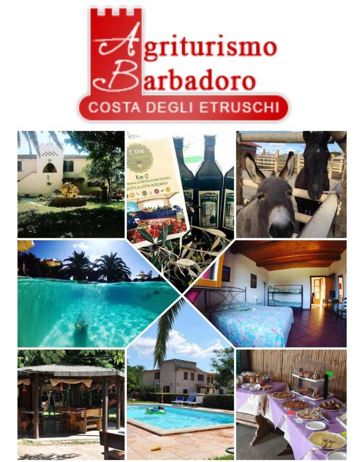 Agriturismo Barbadoro San Vincenzo Eksteriør billede